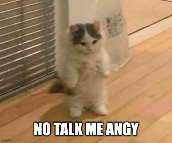 Pat | NO TALK ME ANGY | made w/ Imgflip meme maker