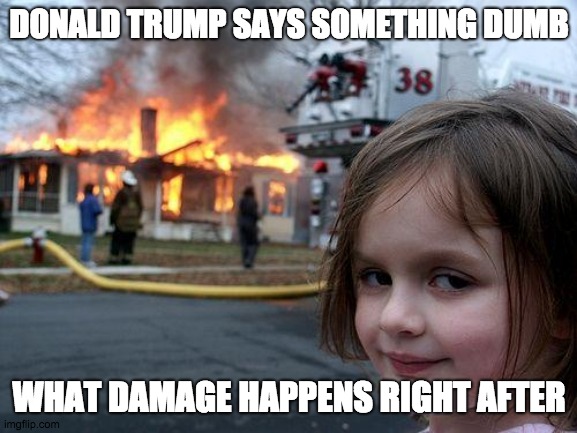 Donald trump strikes again | DONALD TRUMP SAYS SOMETHING DUMB; WHAT DAMAGE HAPPENS RIGHT AFTER | image tagged in memes,disaster girl | made w/ Imgflip meme maker