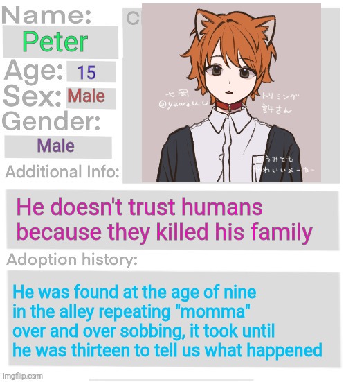 Orphanage faction file | Peter; 15; Male; Male; He doesn't trust humans because they killed his family; He was found at the age of nine in the alley repeating "momma" over and over sobbing, it took until he was thirteen to tell us what happened | image tagged in orphanage faction file | made w/ Imgflip meme maker