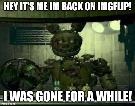 Hello! I'm back! | HEY IT'S ME IM BACK ON IMGFLIP! I WAS GONE FOR A WHILE! | image tagged in fnaf springtrap in window | made w/ Imgflip meme maker