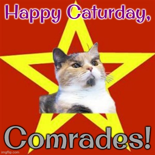 Cats of the world, unite! | Happy Caturday, Comrades! | image tagged in red cat,asexual,funny animals,saturday | made w/ Imgflip meme maker