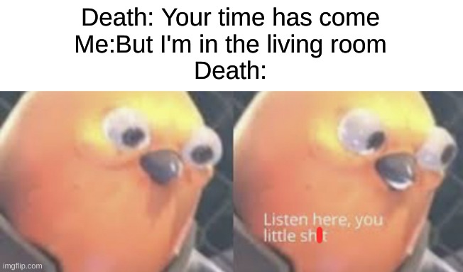 Living Room Paradox | Death: Your time has come
Me:But I'm in the living room
Death: | image tagged in listen here you little shit bird | made w/ Imgflip meme maker