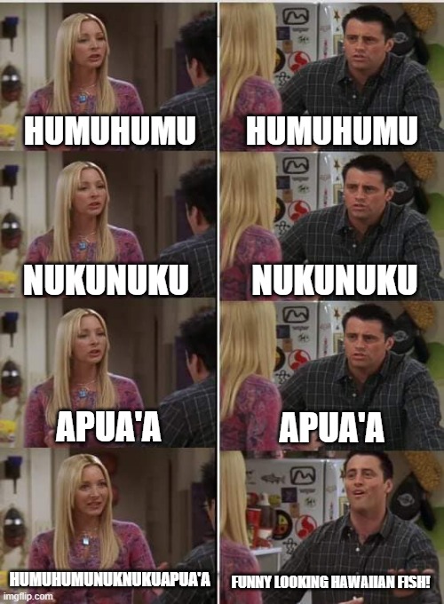 hawaiian state fish | HUMUHUMU; HUMUHUMU; NUKUNUKU; NUKUNUKU; APUA'A; APUA'A; HUMUHUMUNUKNUKUAPUA'A; FUNNY LOOKING HAWAIIAN FISH! | image tagged in phoebe joey | made w/ Imgflip meme maker