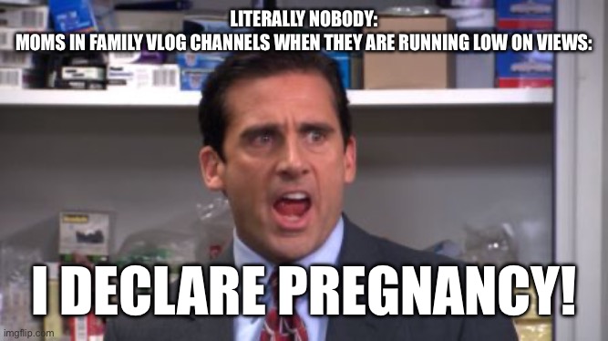 the office bankruptcy | LITERALLY NOBODY:
MOMS IN FAMILY VLOG CHANNELS WHEN THEY ARE RUNNING LOW ON VIEWS:; I DECLARE PREGNANCY! | image tagged in the office bankruptcy | made w/ Imgflip meme maker