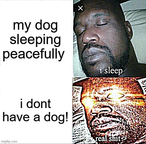 Sleeping Shaq | my dog sleeping peacefully; i dont have a dog! | image tagged in memes,sleeping shaq | made w/ Imgflip meme maker