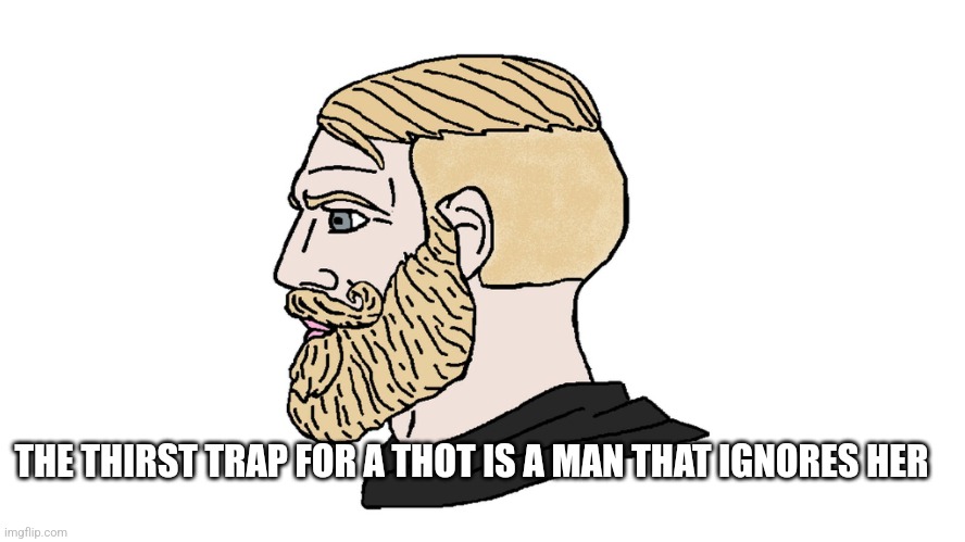 chad yes | THE THIRST TRAP FOR A THOT IS A MAN THAT IGNORES HER | image tagged in chad yes | made w/ Imgflip meme maker