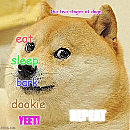 Doge | the five stages of doge; eat; sleep; bark; dookie; REPEAT; YEET! | image tagged in memes,doge | made w/ Imgflip meme maker