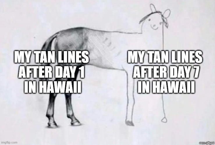 tan lines | MY TAN LINES 
AFTER DAY 1 
IN HAWAII; MY TAN LINES 
AFTER DAY 7
IN HAWAII | image tagged in horse drawing | made w/ Imgflip meme maker