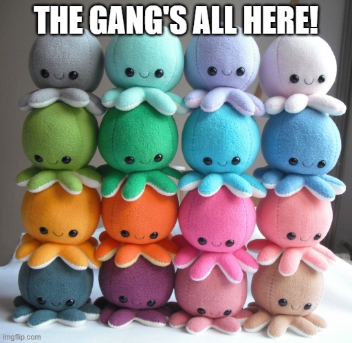 16 BFFs of the rainbow!!!! | THE GANG'S ALL HERE! | image tagged in octopus,plush,collection,rainbow | made w/ Imgflip meme maker