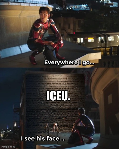 it angers me when i see a funny meme only to see it was iceu reposting  it after waiting since queen Elizabeths first birthday t | ICEU. | image tagged in everywhere i go i see his face | made w/ Imgflip meme maker