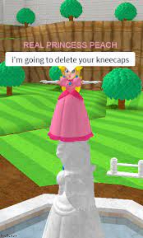 peech | image tagged in peach,roblox meme,princess peach | made w/ Imgflip meme maker