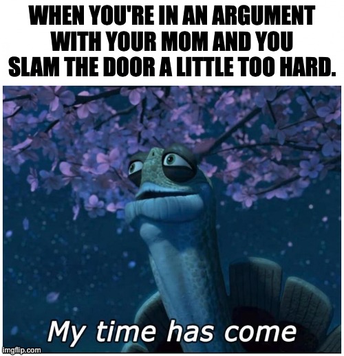 argument with mom | WHEN YOU'RE IN AN ARGUMENT WITH YOUR MOM AND YOU SLAM THE DOOR A LITTLE TOO HARD. | image tagged in master oogway my time has come | made w/ Imgflip meme maker