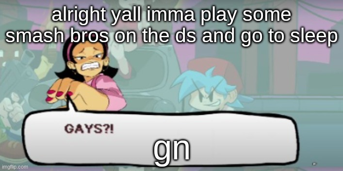 gays?!??!?! | alright yall imma play some smash bros on the ds and go to sleep; gn | image tagged in gays | made w/ Imgflip meme maker