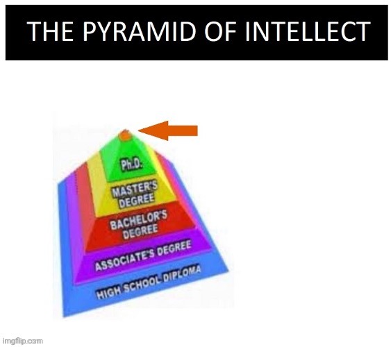 Pyramid Of Intellect | image tagged in pyramid of intellect | made w/ Imgflip meme maker