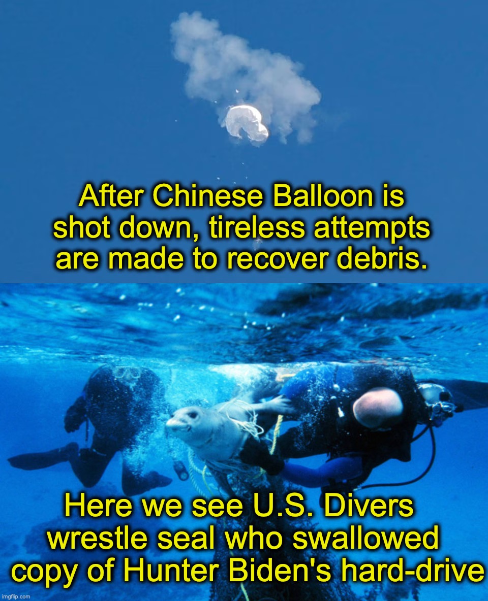 After Chinese Balloon is shot down, tireless attempts are made to recover debris. Here we see U.S. Divers 
wrestle seal who swallowed
 copy of Hunter Biden's hard-drive | image tagged in china,balloon,joe biden | made w/ Imgflip meme maker