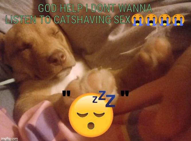cats having | GOD HELP I DONT WANNA LISTEN TO CATSHAVING SEX😭😭😭😭 | image tagged in quandale | made w/ Imgflip meme maker