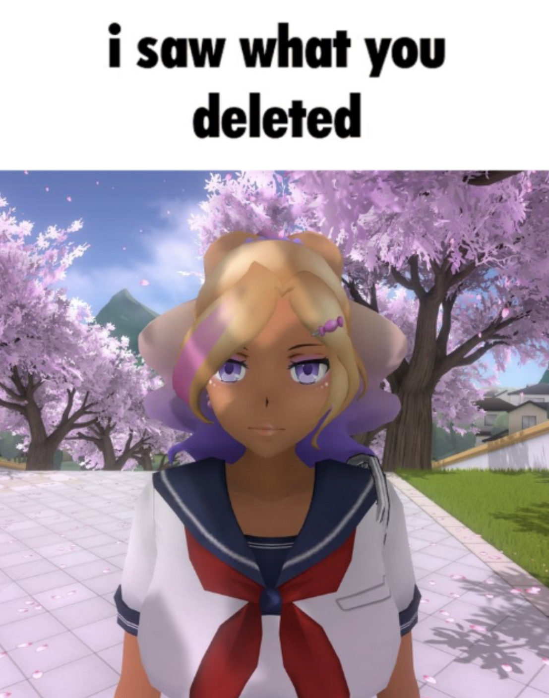 i saw what you deleted Blank Meme Template