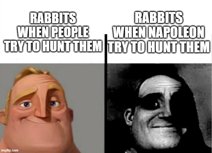 I'm trying to hunt them! | RABBITS WHEN NAPOLEON TRY TO HUNT THEM; RABBITS WHEN PEOPLE TRY TO HUNT THEM | image tagged in teacher's copy,memes | made w/ Imgflip meme maker