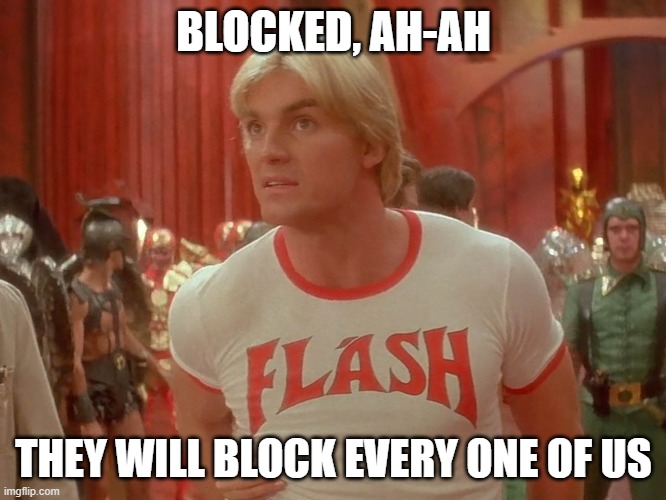 snowflakes | BLOCKED, AH-AH; THEY WILL BLOCK EVERY ONE OF US | image tagged in blocked,snowflakes | made w/ Imgflip meme maker