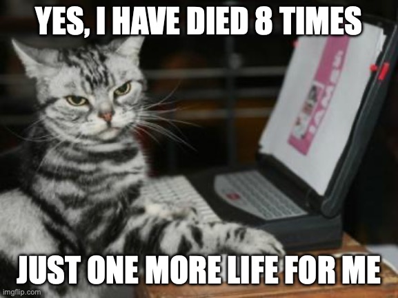 Cat computer | YES, I HAVE DIED 8 TIMES JUST ONE MORE LIFE FOR ME | image tagged in cat computer | made w/ Imgflip meme maker