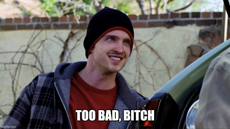 Jesse Pinkman | TOO BAD, BITCH | image tagged in jesse pinkman | made w/ Imgflip meme maker