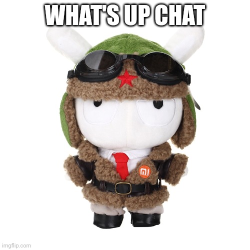 Chinese Air Forces Xiaomi Bunny Plushie | WHAT'S UP CHAT | image tagged in chinese air forces xiaomi bunny plushie | made w/ Imgflip meme maker