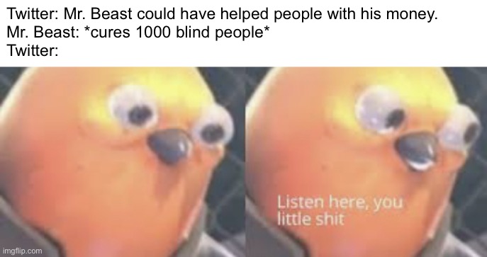 Twitter go brr... |  Twitter: Mr. Beast could have helped people with his money.
Mr. Beast: *cures 1000 blind people*
Twitter: | image tagged in listen here you little shit bird | made w/ Imgflip meme maker