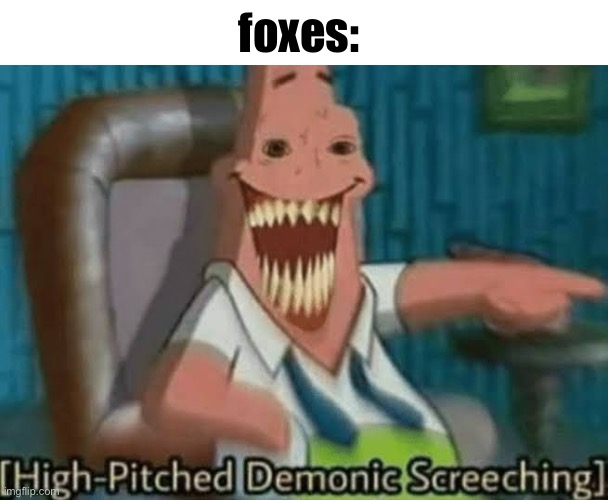 in reality they make laughing noises similar to a dolphin | foxes: | image tagged in high-pitched demonic screeching | made w/ Imgflip meme maker