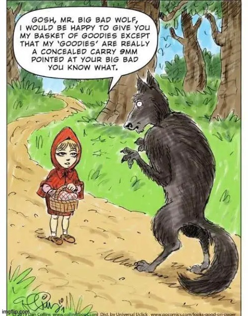 LMAO!! | image tagged in funny memes,wolf,guns,conservatives,little red riding hood | made w/ Imgflip meme maker