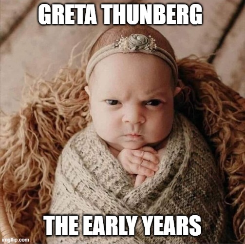 gretta | GRETA THUNBERG; THE EARLY YEARS | image tagged in climate change,climate | made w/ Imgflip meme maker