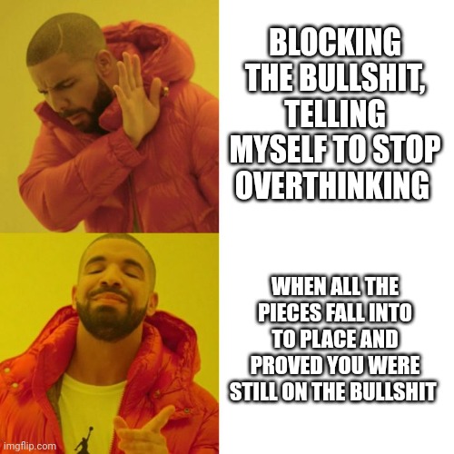 Drake Blank | BLOCKING THE BULLSHIT, TELLING MYSELF TO STOP OVERTHINKING; WHEN ALL THE PIECES FALL INTO TO PLACE AND PROVED YOU WERE STILL ON THE BULLSHIT | image tagged in drake blank | made w/ Imgflip meme maker