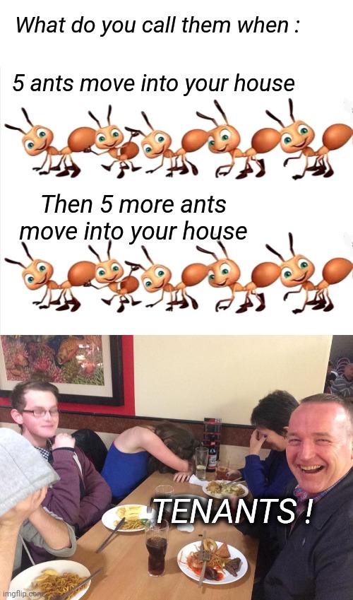 Dad Joke | What do you call them when :; 5 ants move into your house; Then 5 more ants move into your house; TENANTS ! | image tagged in dad joke meme,eyeroll,ants | made w/ Imgflip meme maker