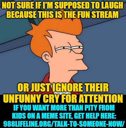Futurama Fry Meme | NOT SURE IF I'M SUPPOSED TO LAUGH
BECAUSE THIS IS THE FUN STREAM OR JUST IGNORE THEIR UNFUNNY CRY FOR ATTENTION IF YOU WANT MORE THAN PITY F | image tagged in memes,futurama fry | made w/ Imgflip meme maker