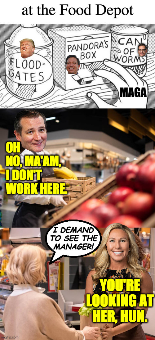 Crazy selection.  Buy now, pay later. | OH
NO, MA'AM,
I DON'T
WORK HERE. I DEMAND
TO SEE THE
MANAGER! YOU'RE
LOOKING AT
HER, HUN. | image tagged in memes,maga,food depot | made w/ Imgflip meme maker