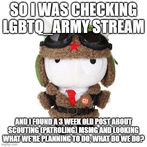 Chinese Air Forces Xiaomi Bunny Plushie | SO I WAS CHECKING LGBTQ_ARMY STREAM; AND I FOUND A 3 WEEK OLD POST ABOUT SCOUTING (PATROLING) MSMG AND LOOKING WHAT WE'RE PLANNING TO DO, WHAT DO WE DO? | image tagged in chinese air forces xiaomi bunny plushie | made w/ Imgflip meme maker