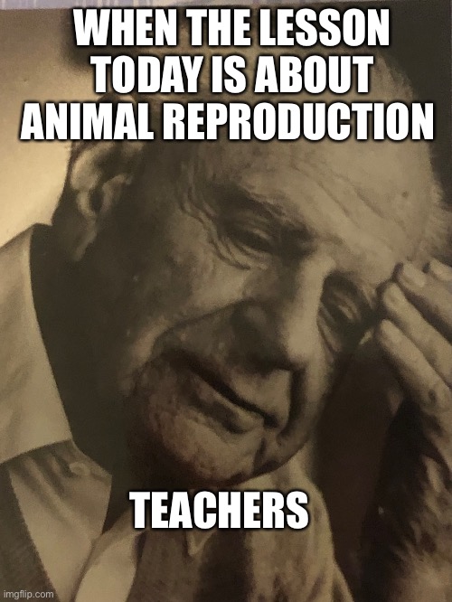 Stress | WHEN THE LESSON TODAY IS ABOUT ANIMAL REPRODUCTION; TEACHERS | image tagged in memes | made w/ Imgflip meme maker