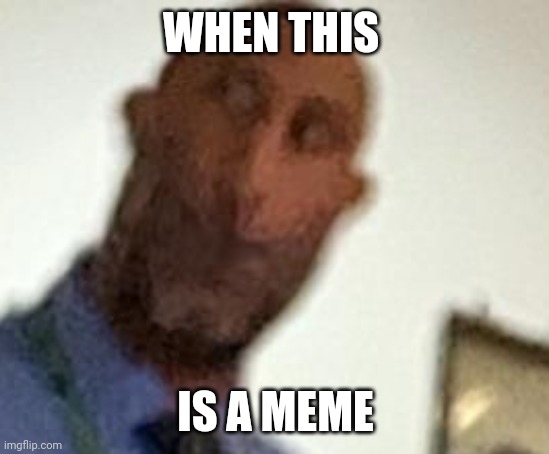 Cursed pictures | WHEN THIS; IS A MEME | image tagged in cursed pictures | made w/ Imgflip meme maker