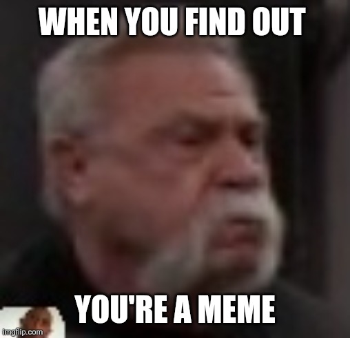 Unimpressed man | WHEN YOU FIND OUT; YOU'RE A MEME | image tagged in unimpressed man | made w/ Imgflip meme maker