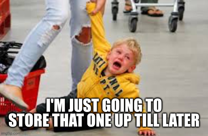 Tantrum store | I'M JUST GOING TO STORE THAT ONE UP TILL LATER | image tagged in tantrum store | made w/ Imgflip meme maker