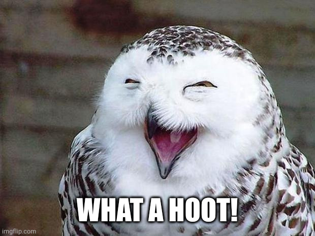 owl happy | WHAT A HOOT! | image tagged in owl happy | made w/ Imgflip meme maker