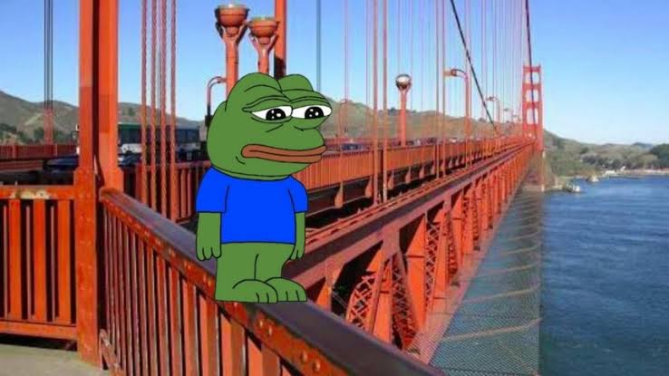 Pepe frog bridge Blank Meme Template