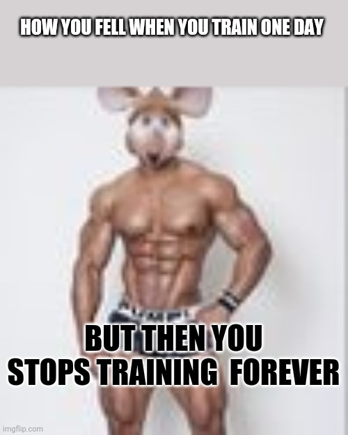 Gigioo | HOW YOU FELL WHEN YOU TRAIN ONE DAY; BUT THEN YOU STOPS TRAINING  FOREVER | image tagged in gigioo | made w/ Imgflip meme maker