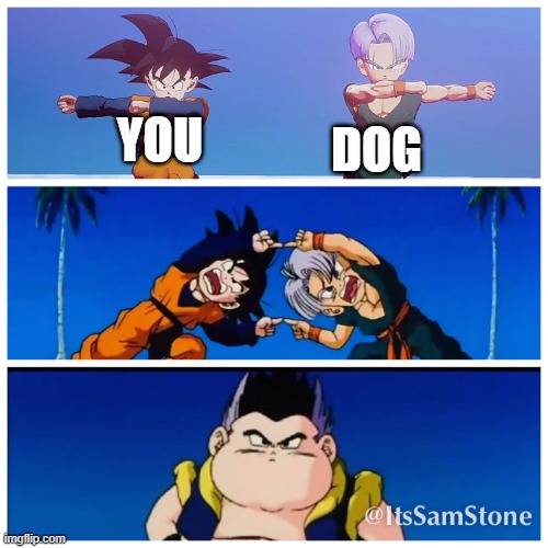 Fusion Dance | YOU DOG | image tagged in fusion dance | made w/ Imgflip meme maker