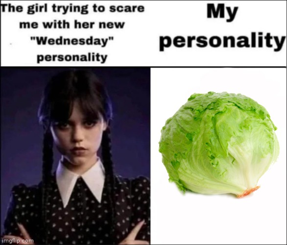 The girl trying to scare me with her new Wednesday personality | image tagged in the girl trying to scare me with her new wednesday personality,msmg | made w/ Imgflip meme maker