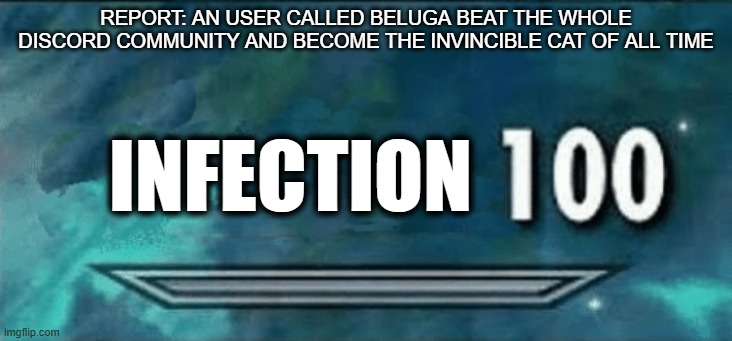 Skyrim Beluga | REPORT: AN USER CALLED BELUGA BEAT THE WHOLE DISCORD COMMUNITY AND BECOME THE INVINCIBLE CAT OF ALL TIME; INFECTION | image tagged in skyrim skill meme | made w/ Imgflip meme maker