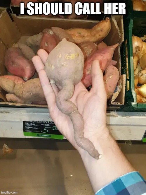 Tater | I SHOULD CALL HER | image tagged in sex jokes | made w/ Imgflip meme maker