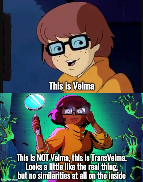 No way they'd let this go in the fun stream, I'm sure. | This is Velma; This is NOT Velma, this is TransVelma.
Looks a little like the real thing, but no similarities at all on the inside | image tagged in memes,politics,velma,transvelma | made w/ Imgflip meme maker