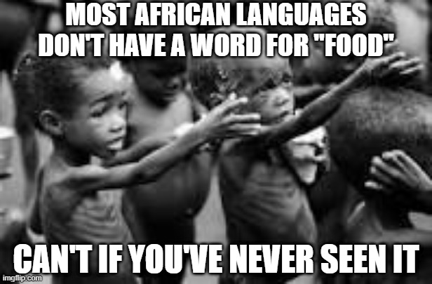 No Food | MOST AFRICAN LANGUAGES DON'T HAVE A WORD FOR "FOOD"; CAN'T IF YOU'VE NEVER SEEN IT | image tagged in starving africans | made w/ Imgflip meme maker
