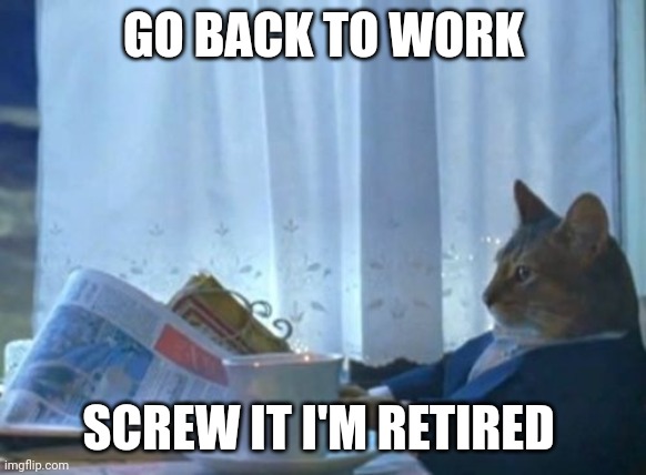 I Should Buy A Boat Cat | GO BACK TO WORK; SCREW IT I'M RETIRED | image tagged in memes,i should buy a boat cat | made w/ Imgflip meme maker