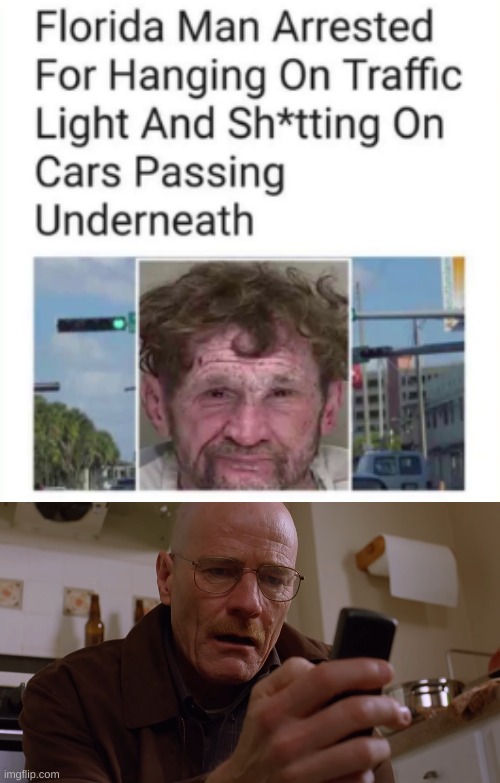 wtaf | image tagged in walter white on his phone,florida man,meanwhile in florida | made w/ Imgflip meme maker